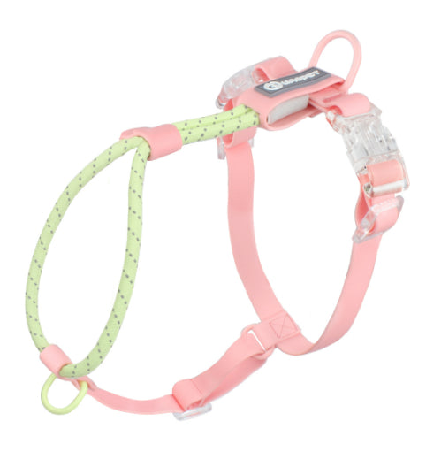 Hundeleine aus PVC – Bild 8 | LuxeStyle