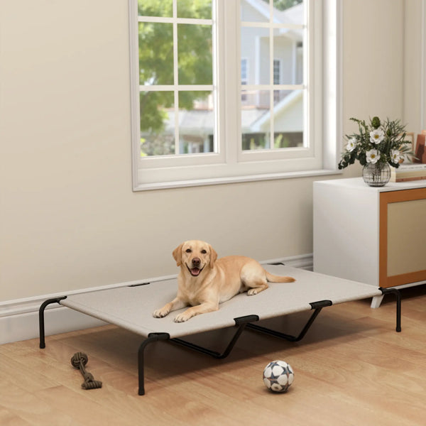 Kühlende Hundebett