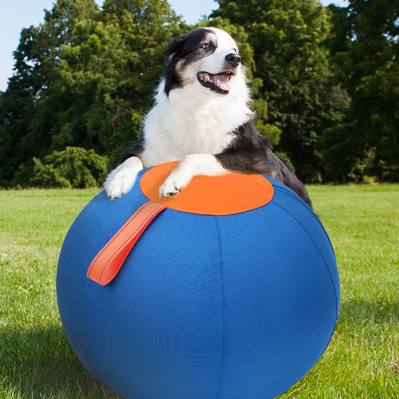 Funny Shiba Inu Corgi Trainingsball