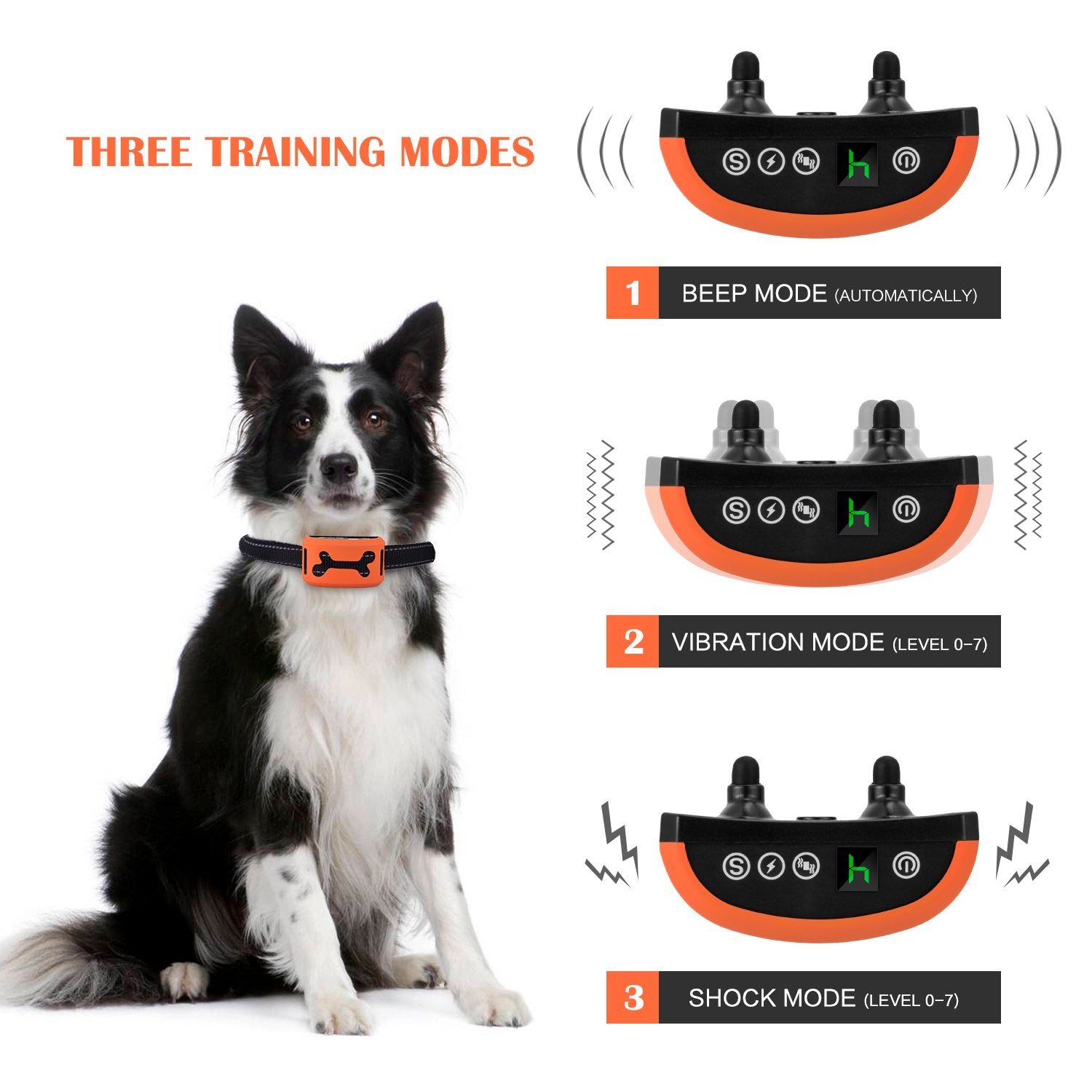 Elektronisches Hunde-Trainingsgerät mit Display