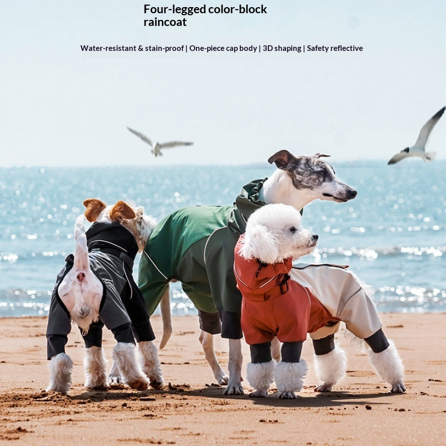 Hundejacke Vollschutz Outdoor – Farbblockiert – Bild 4 | LuxeStyle