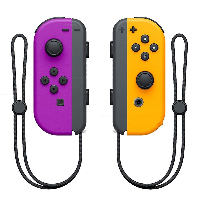 NS Dual Gamepad mit Handschlaufe