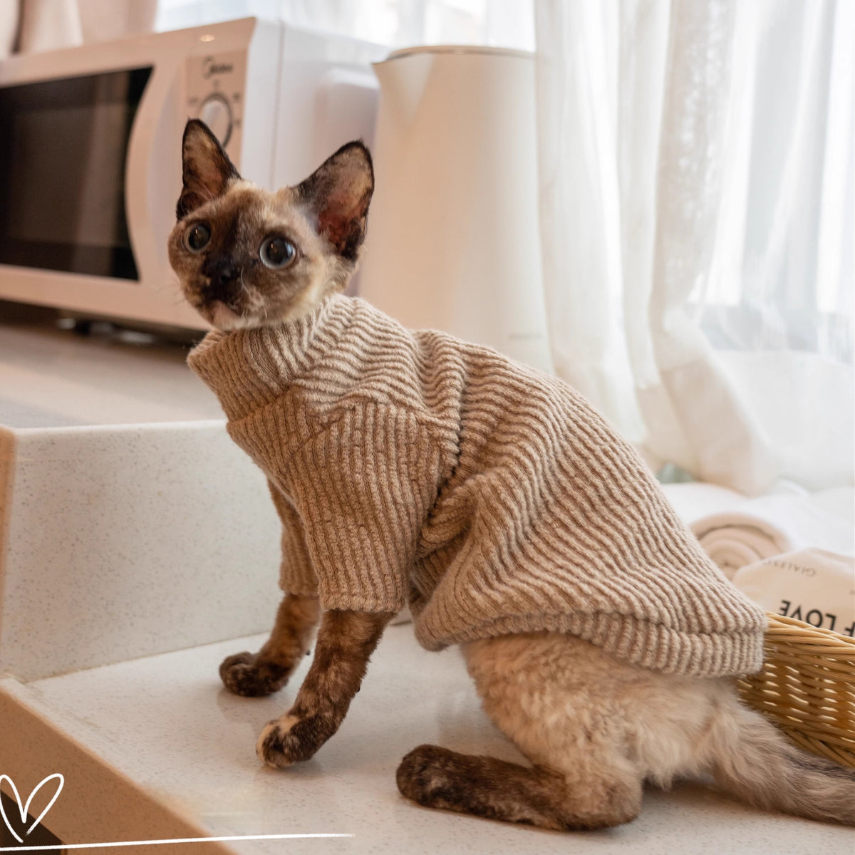 Katzenpullover aus Lammwolle – Bild 5 | LuxeStyle
