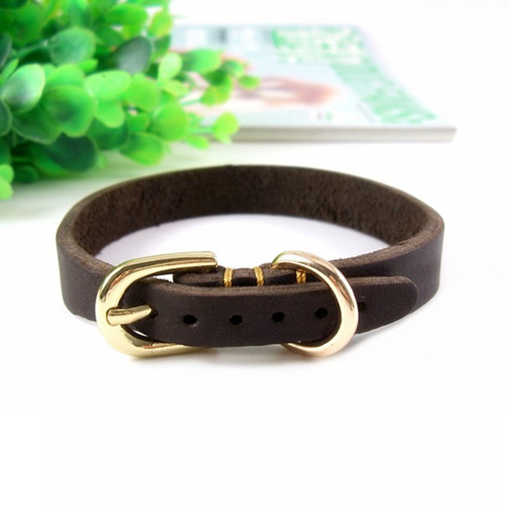 Halsband aus echtem Rindsleder für Welpen – Bild 6 | LuxeStyle