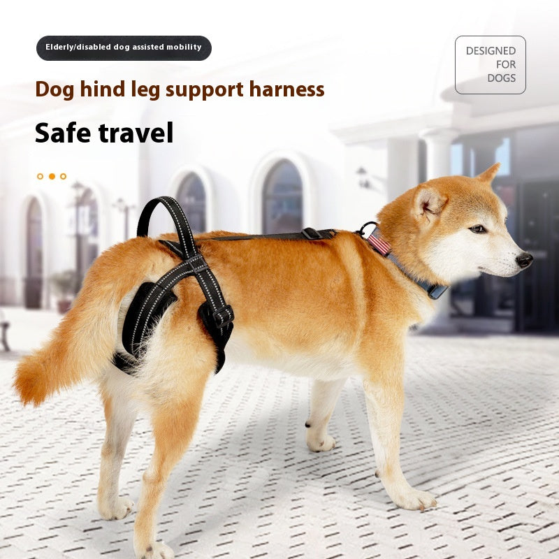 Reha-Gurt für Hinterbeine (Hund) – Bild 3 | LuxeStyle
