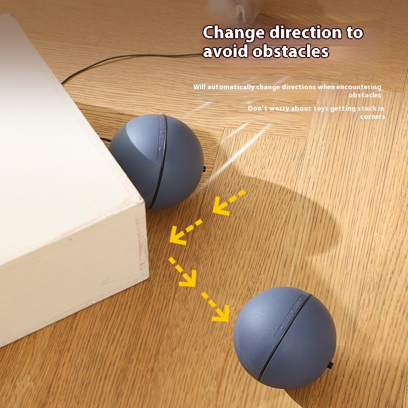 Maus Teaser Ball für Haustiere