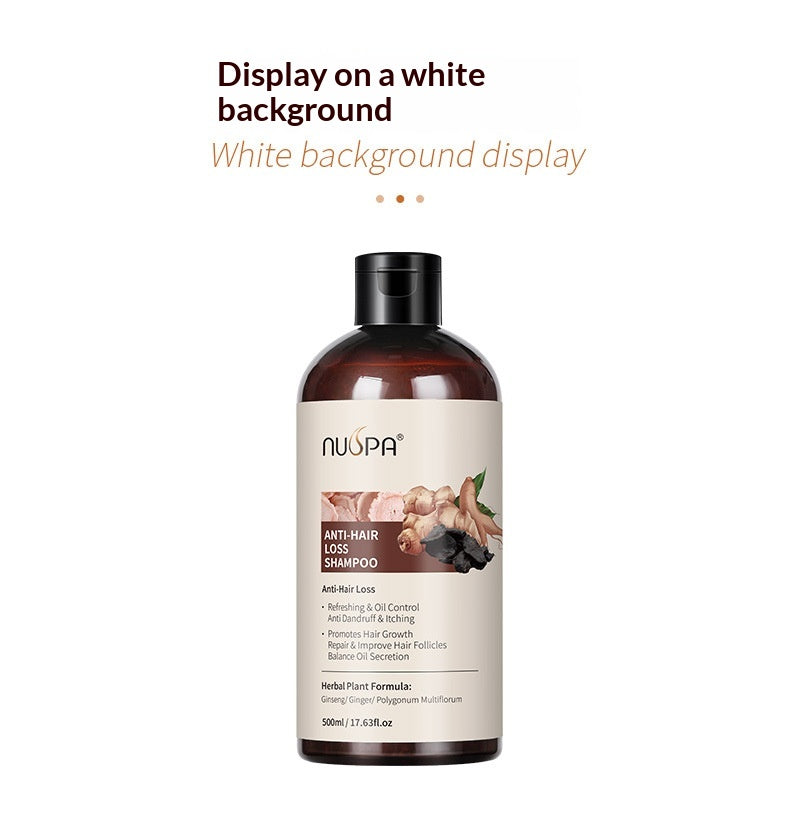 Ingwer Anti-Schuppen Shampoo – Bild 3 | LuxeStyle