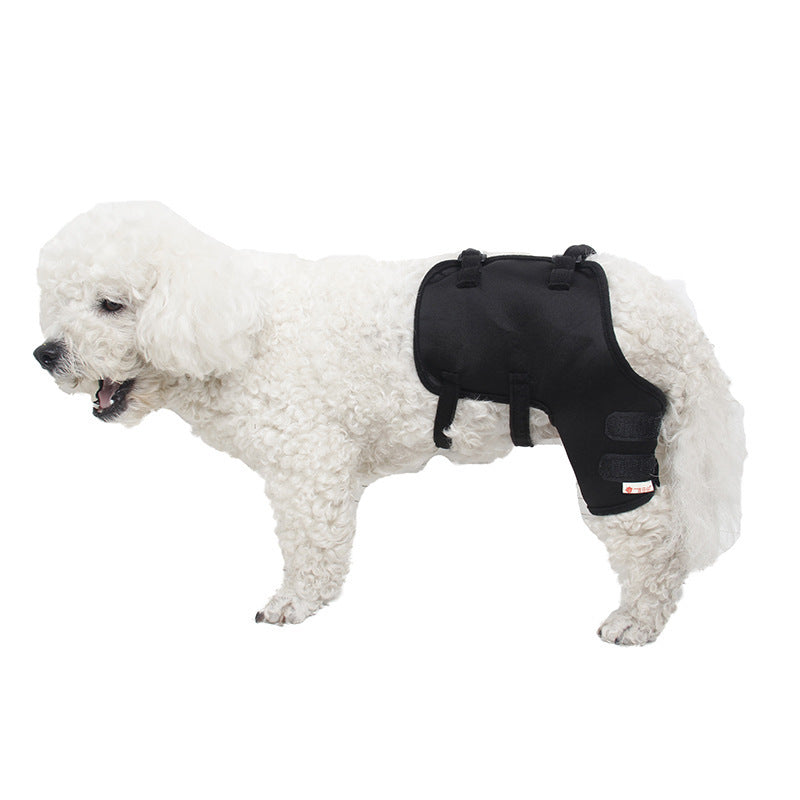 Hund Knie- und Beinschützer für draussen – Bild 4 | LuxeStyle