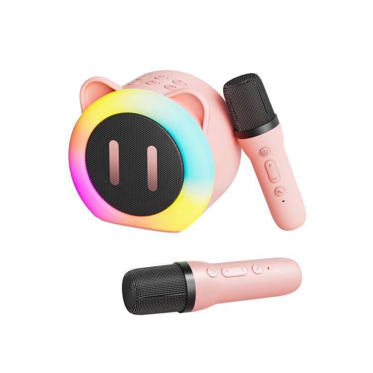 Karaoke Bluetooth Lautsprecher mit Mikrofon