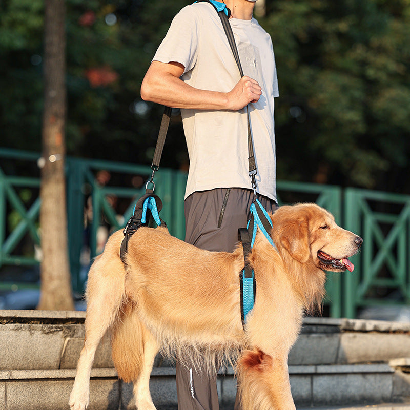 Hunde-Gehhilfe für Vorder- oder Hinterbeine