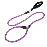 Farbe: Violett