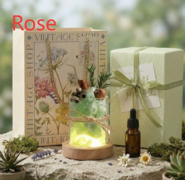 Aromatherapie-Set mit Diffusor-Steinen