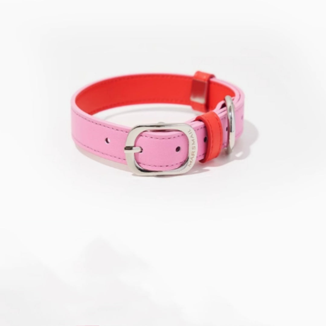 Halsband für Hunde und Katzen – Bild 3 | LuxeStyle