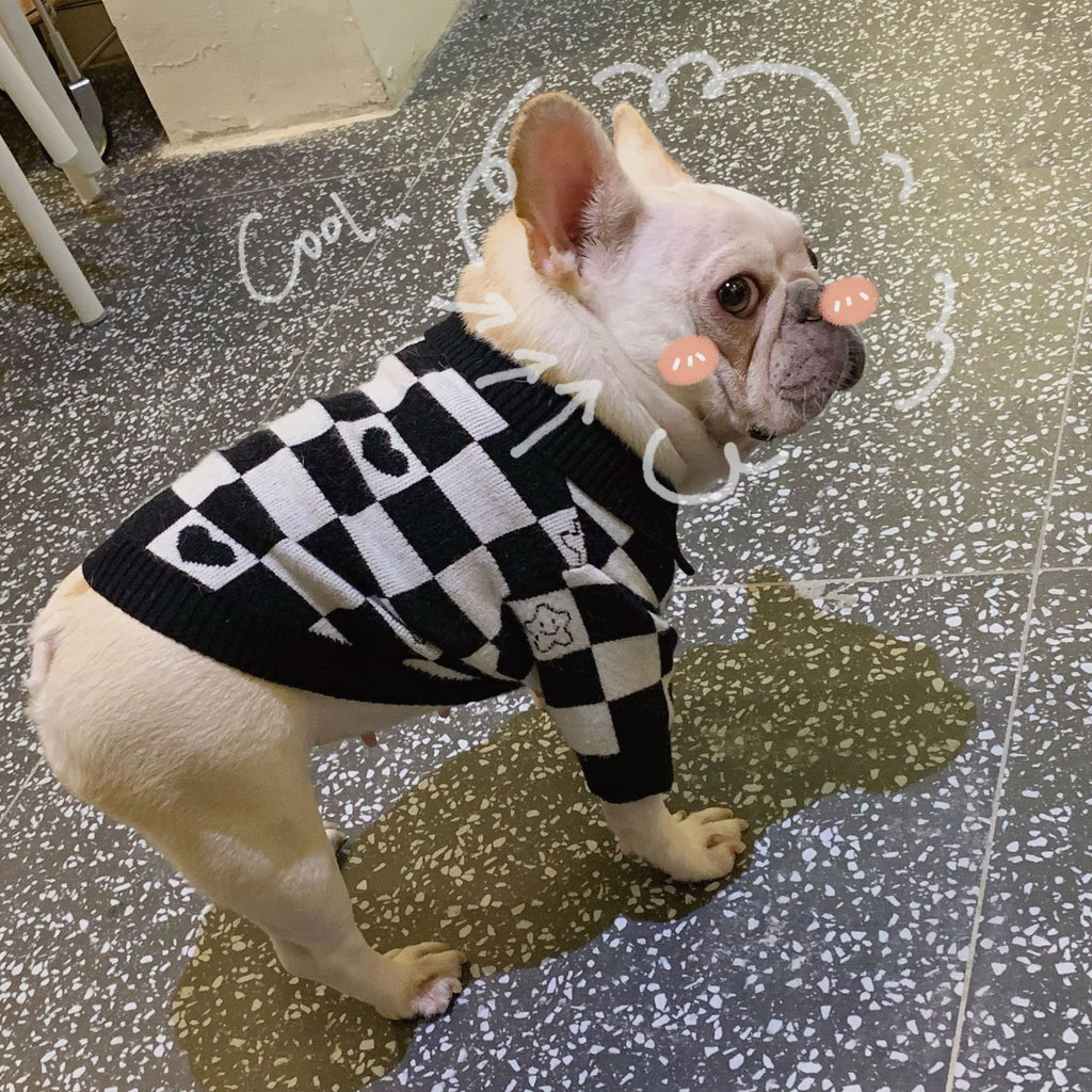 Winterpullover für Hund und Katze – Bild 3 | LuxeStyle
