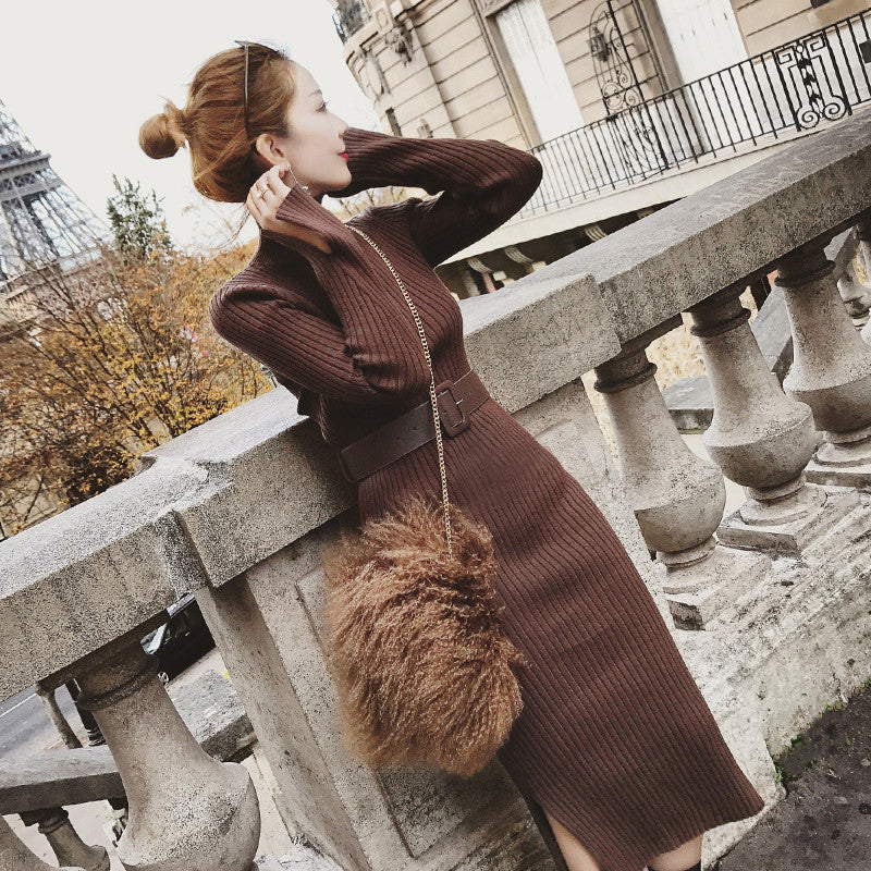 Rollkragen Strickkleid mit Schlitz