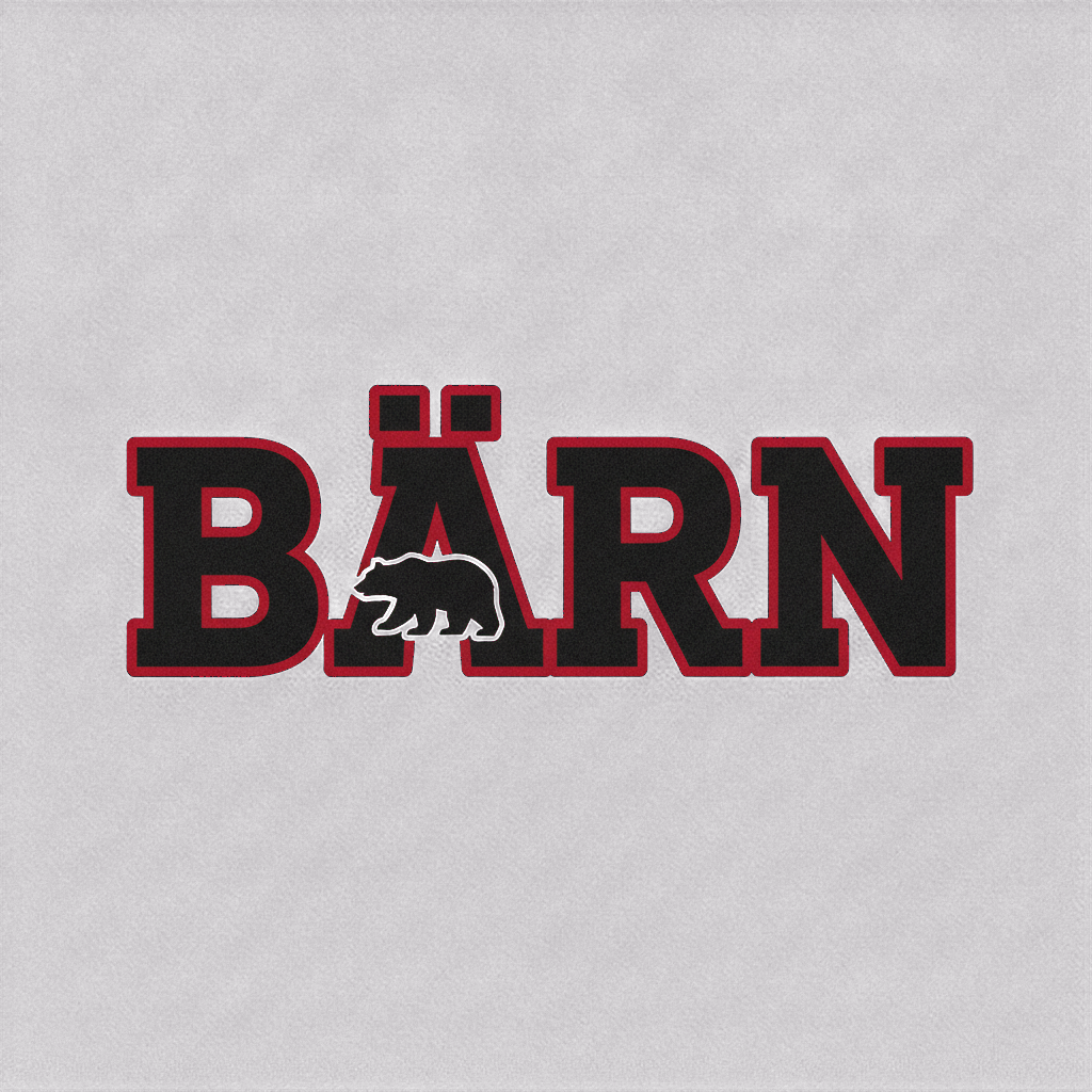 Kissen «Baern»
