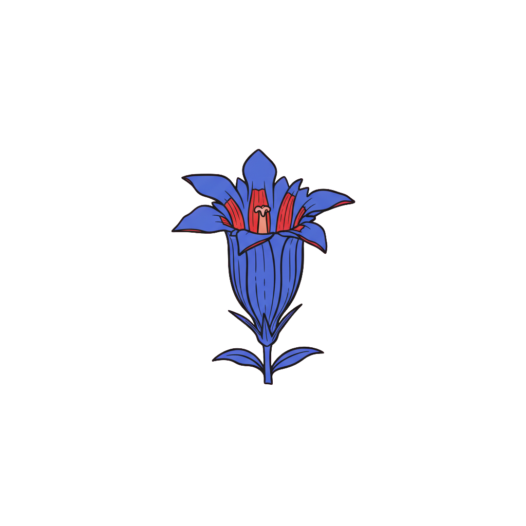 Mauspad «Enzian»