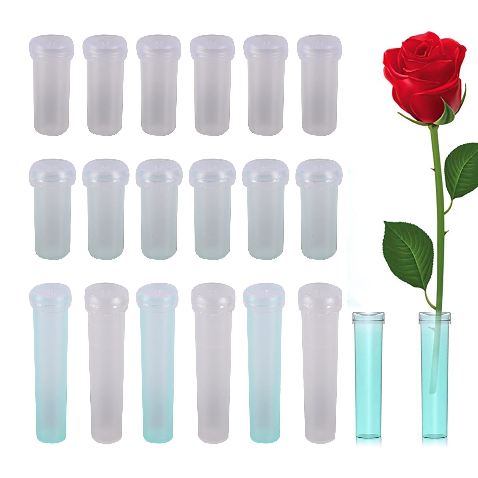 Cluster-Vase Design 5 Röhren Modern – LuxeStyle Schweiz