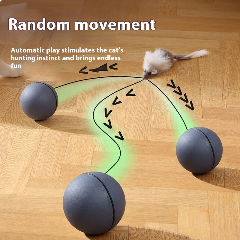 Maus Teaser Ball für Haustiere