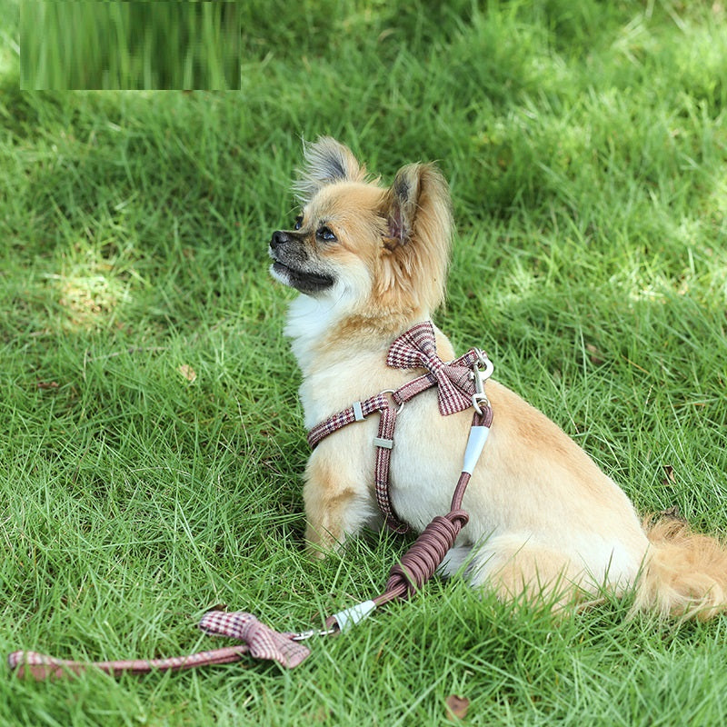 Hundeleine für kleine und mittelgrosse Hunde – Bild 4 | LuxeStyle