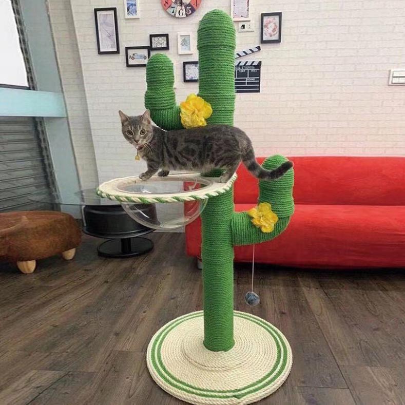 DIY Katzen-Kratzbaum im Kaktus-Design