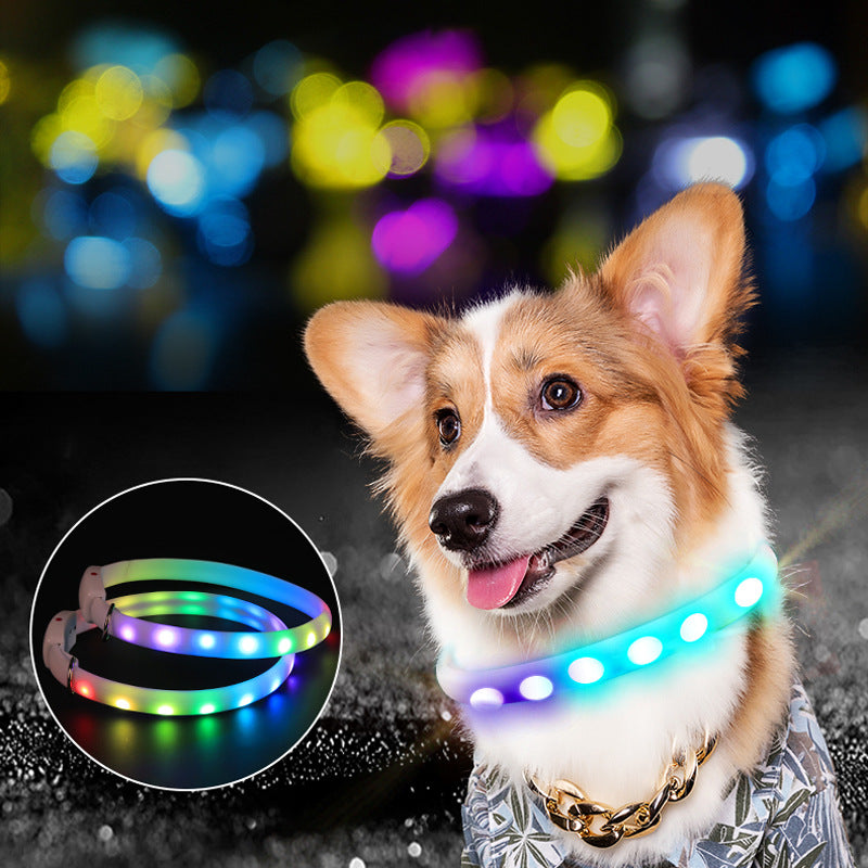 Sichtbares Hundehalsband – Bild 5 | LuxeStyle