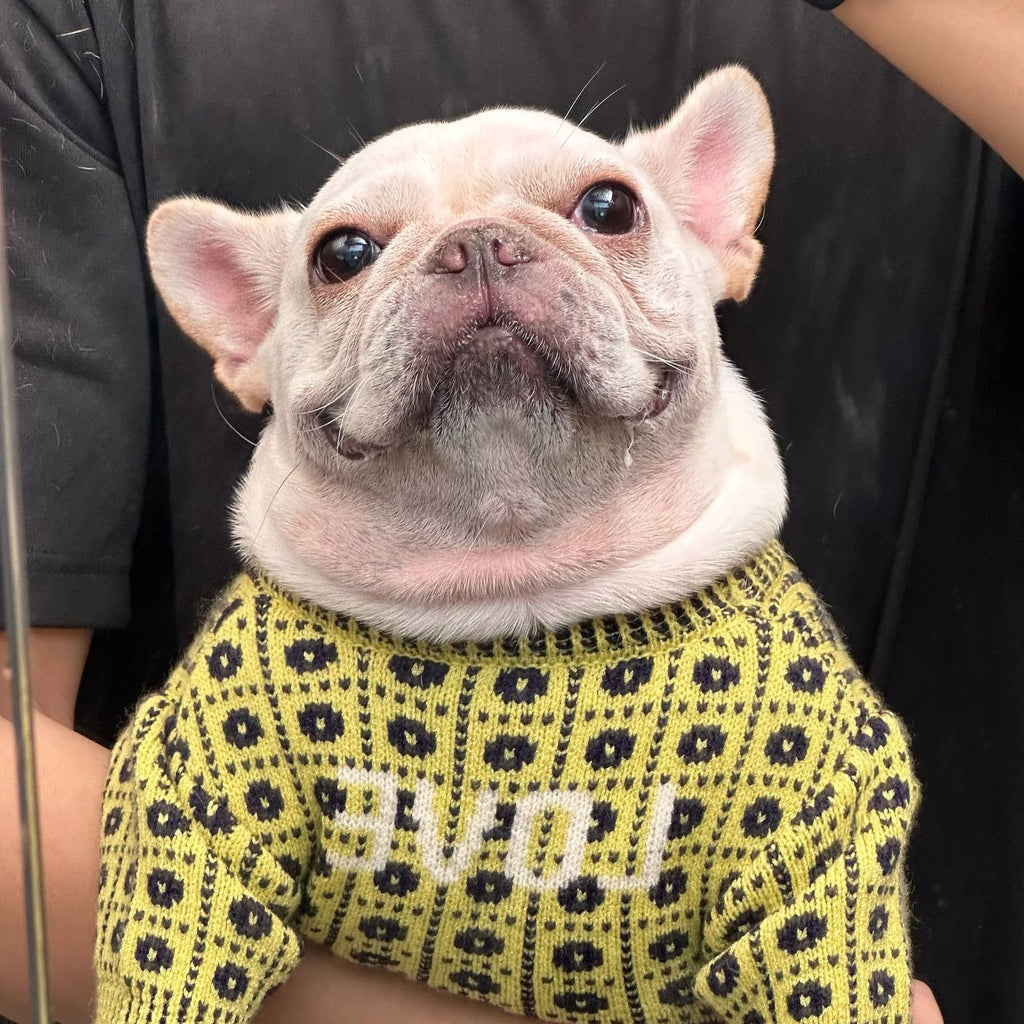 Winterpullover für Hund & Katze – Bild 5 | LuxeStyle