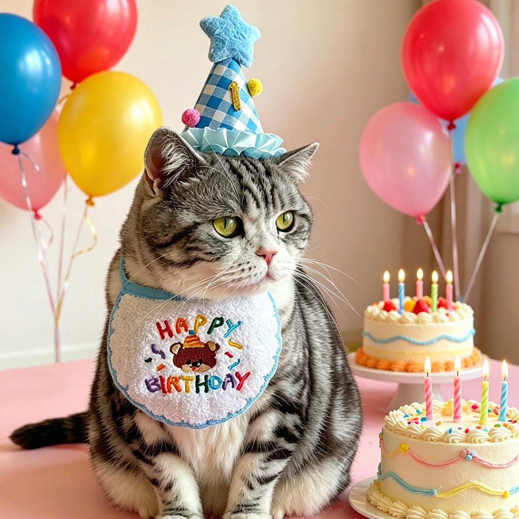 Katzen Geburtstag