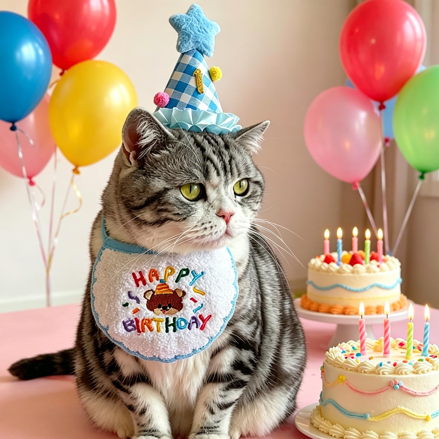 Katzen Geburtstag