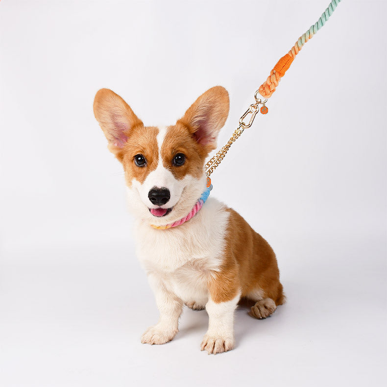 Cotton-Halsband für Hunde – Bild 3 | LuxeStyle