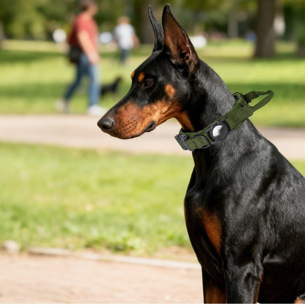 Hunde-Taktik-Halsband aus Outdoor-Nylon