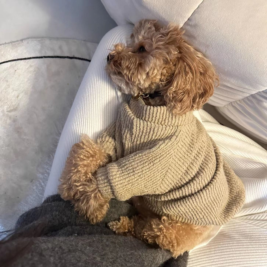 Bichon Pomeranian Teddy Schnauzer Pullover braun | LuxeStyle