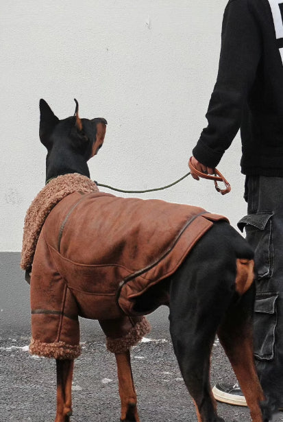 Velours-Wintermantel für grosse Hunde