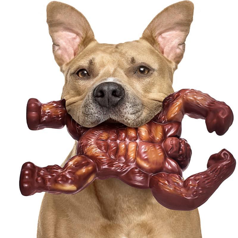 Hunde-Beissspielzeug mit Rindfleischgeschmack