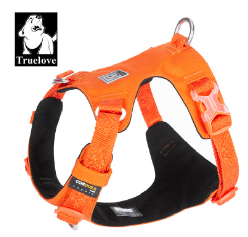 Reissfestes Hundegeschirr – Bild 3 | LuxeStyle