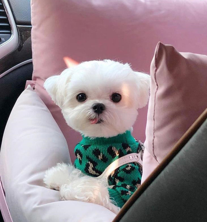 Leoparden-Strickpullover für kleine Hunde | LuxeStyle