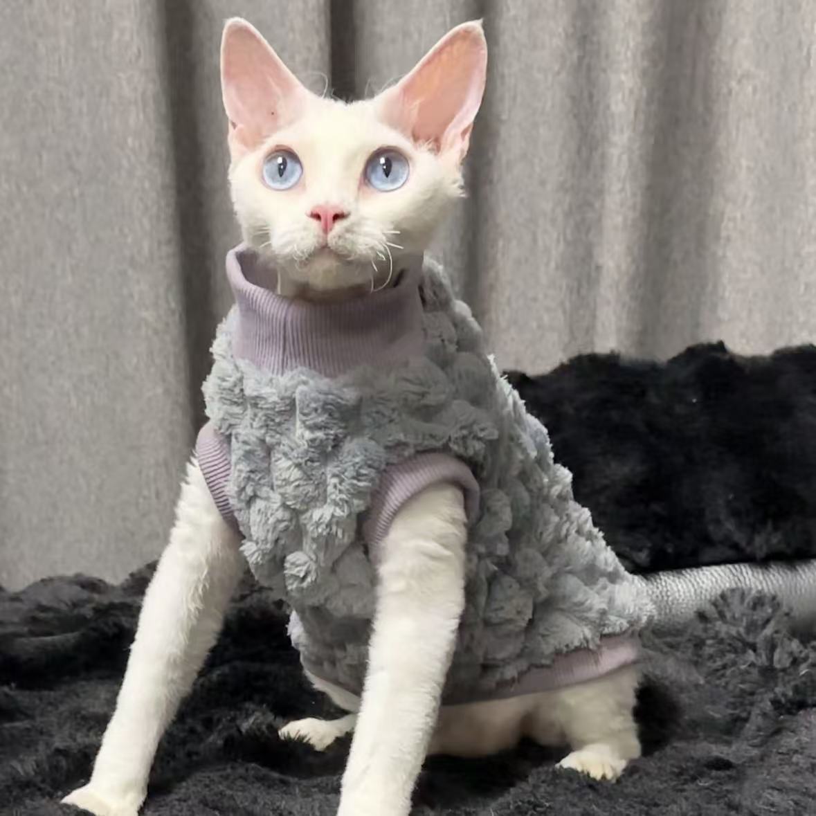 Katzenpullover aus Fleece für haarlose Katzen – Bild 3 | LuxeStyle