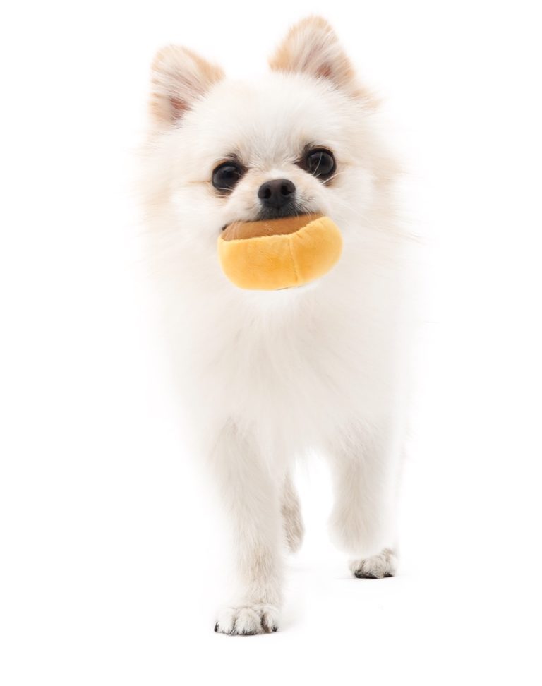 Pilz Tibetisches Futter Vocal Spielzeug-Set für Hunde – Bild 1 | LuxeStyle