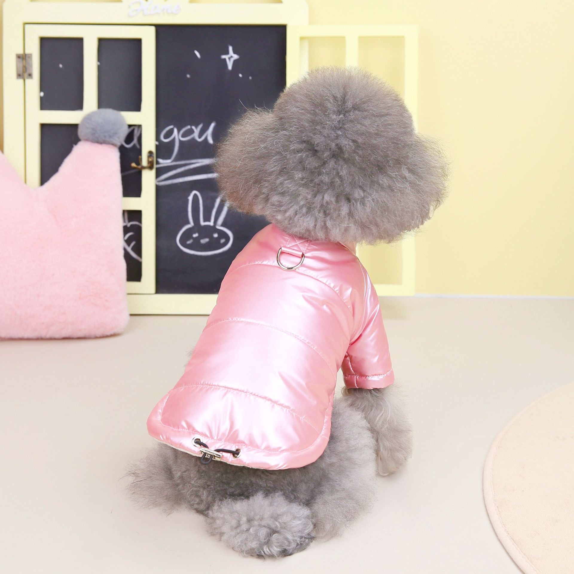 Teddy Hundejacke wasserdicht