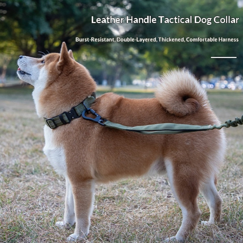 Anti-Lost-Halsband für Hunde – Bild 7 | LuxeStyle