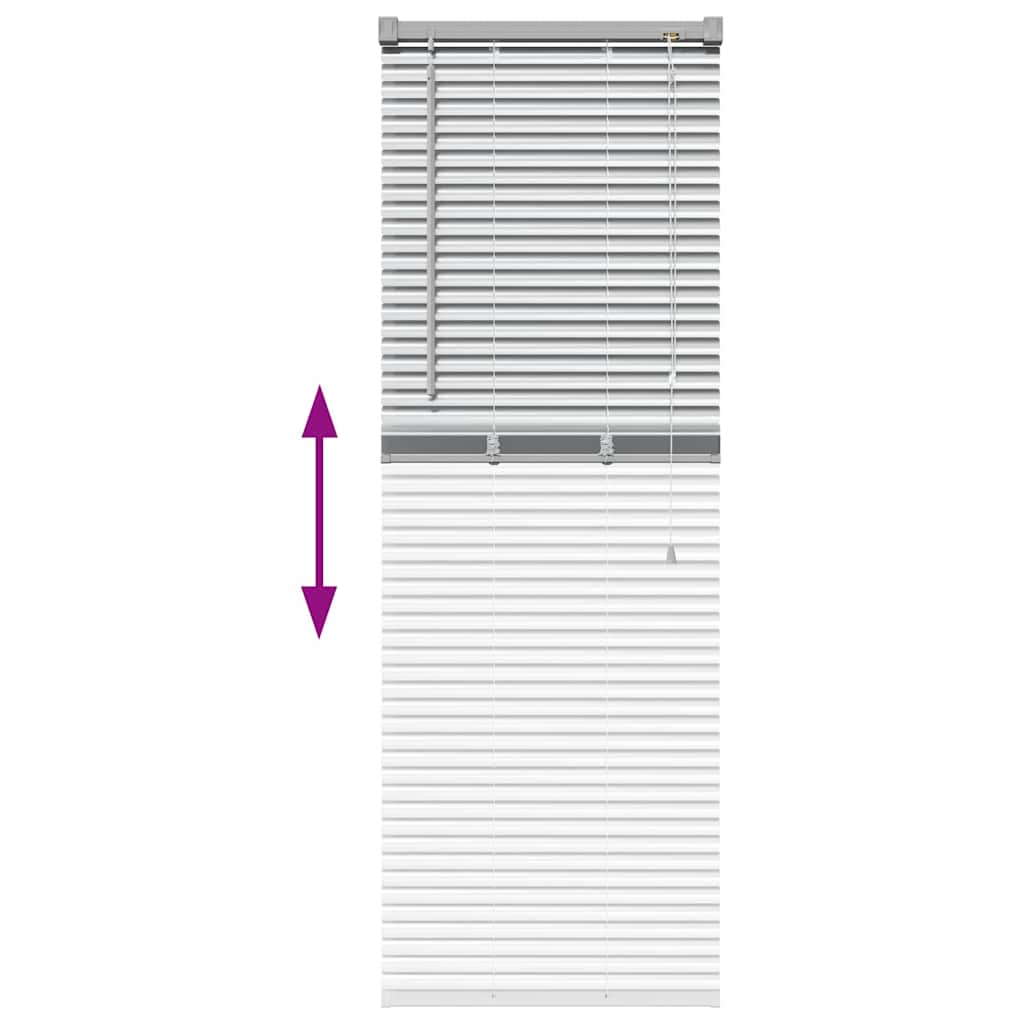 Modernes Jalousie mit Gardinen, silber