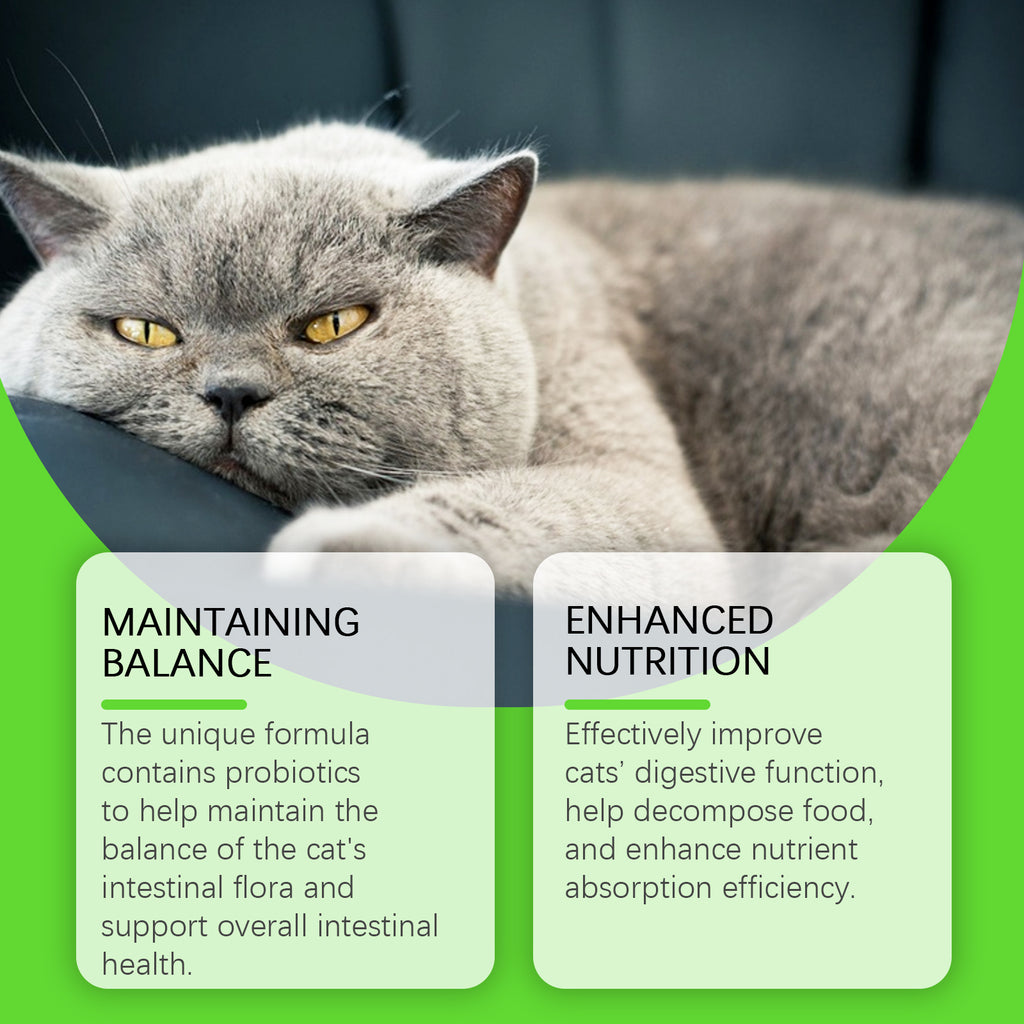 Katzen Verdauungsunterstützung