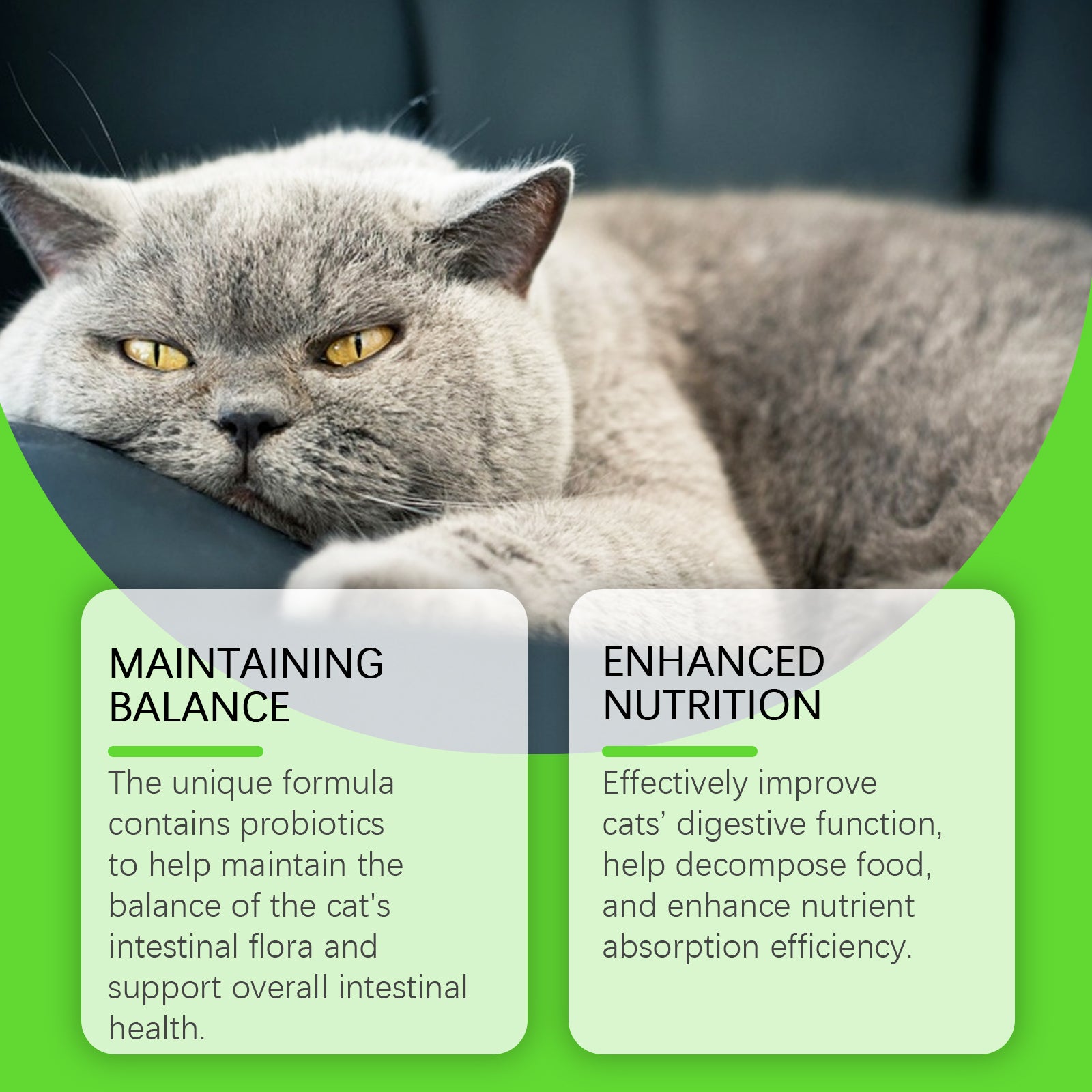 Katzen Verdauungsunterstützung