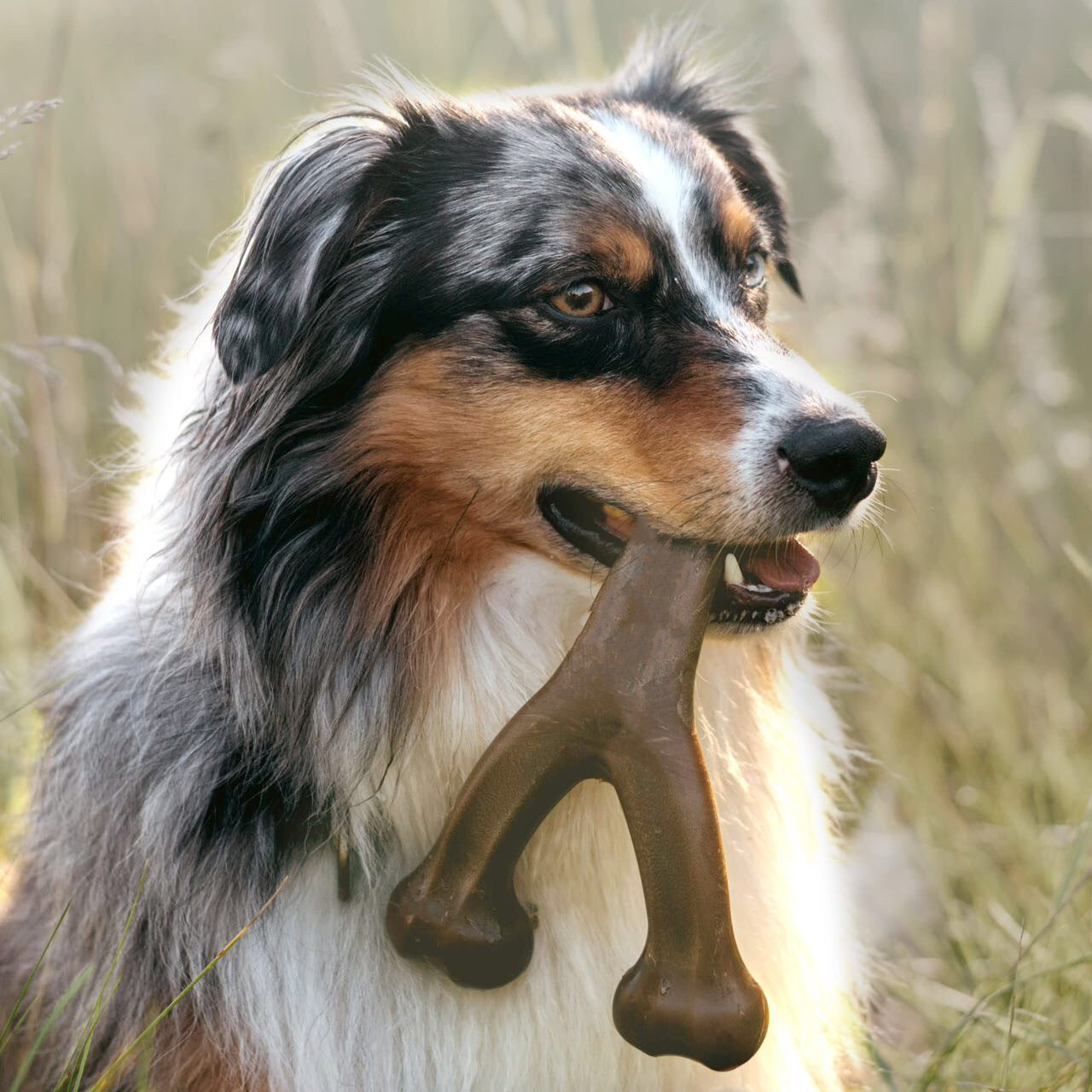 Dauerhafte Kauwurst für Hunde