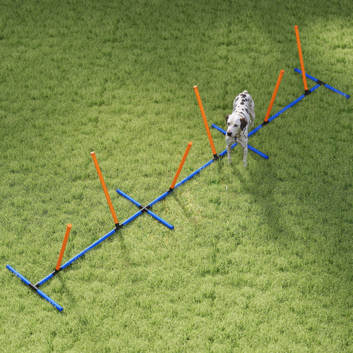 Agility-Trainingsset für Hunde, verstellbar – Bild 1 | LuxeStyle