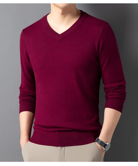 V-Hals Pullover für Herren