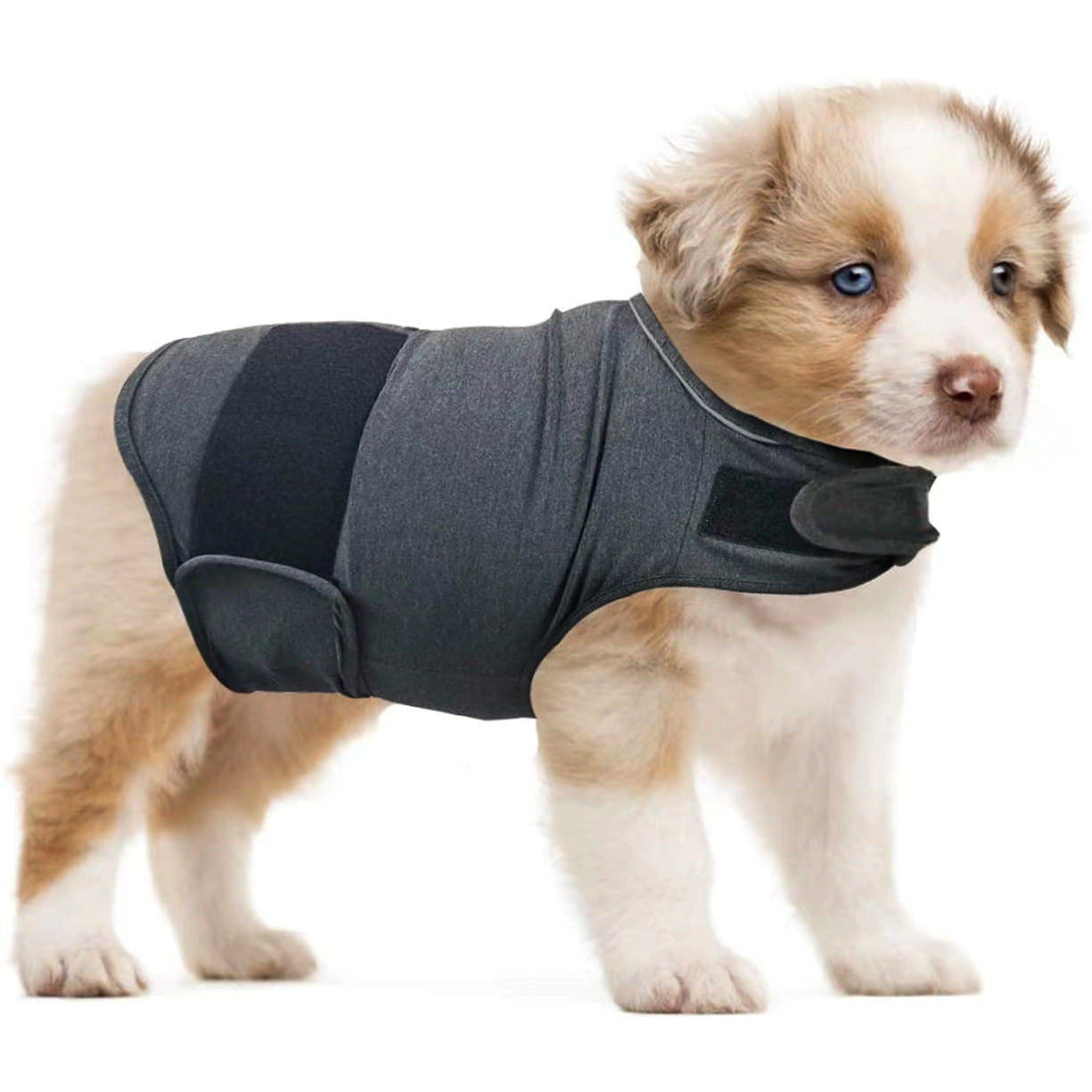 Beruhigende Hunde-Bekleidung für Trennungsangst
