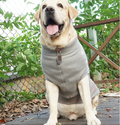 Hundestrickpullover für Herbst & Winter | LuxeStyle
