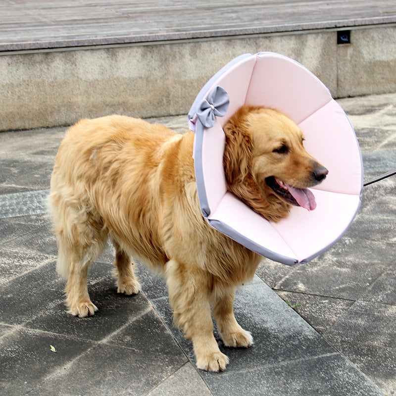 Hundehalskrause für die Genesung | LuxeStyle