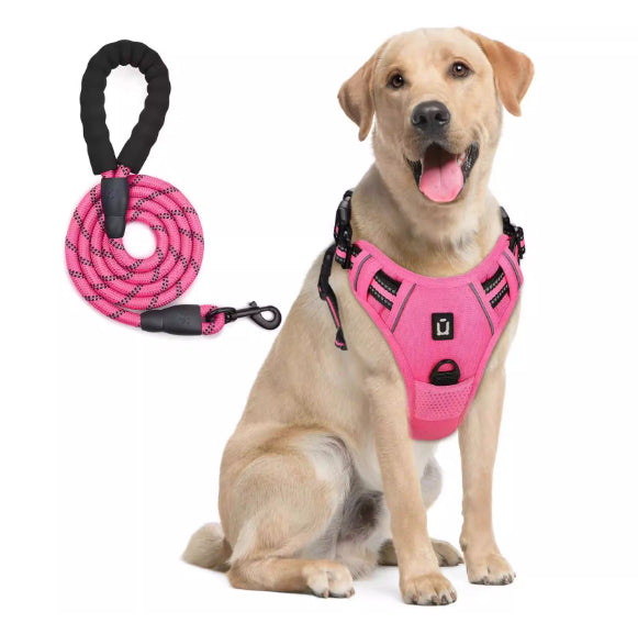 Hundegeschirr & Leine mit Ausbruchschutz – Bild 9 | LuxeStyle